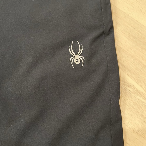 SPYDER MENS MESA INSULATED PANT - Picture 3 of 8